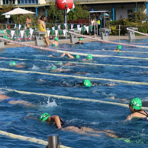 Schwimmer in einem Freiwasserbecken tragen grüne Badekappen und schwimmen in verschiedenen Bahnen.