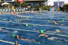 Schwimmer in einem Freiwasserbecken tragen grüne Badekappen und schwimmen in verschiedenen Bahnen.
