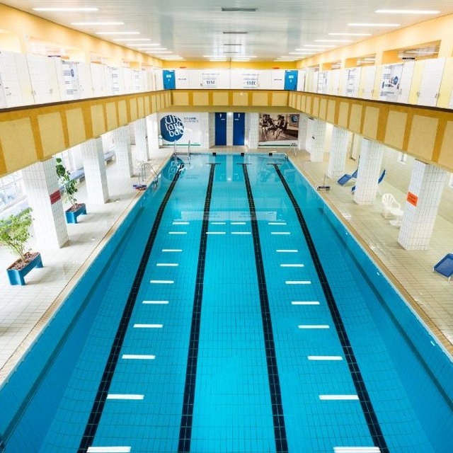 Ein Innenpool, der lang und schmal ist, mit klar blauem Wasser und weißen Markierungen auf dem Boden. Um den Pool herum stehen einige Liegen und es gibt Pflanzen in blauen Kästen. An den Wänden sind Informationen und Plakate angebracht. Die Beleuchtung ist hell und der Raum wirkt sauber und einladend.