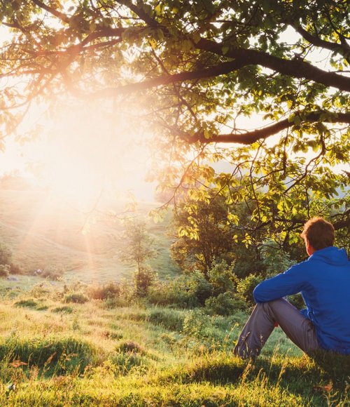 Ein junger Mann sitzt am Boden unter einem Baum und betrachtet den Sonnenaufgang über sanften Hügeln und üppigen grünen Wiesen. Die warmen Sonnenstrahlen strahlen durch die Blätter des Baumes, während die Natur friedlich um ihn herum blüht.