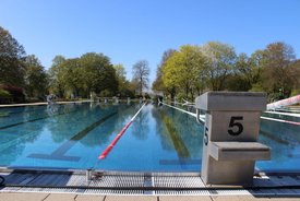 Ein Schwimmbecken mit klaren Wasser und einem Startblock mit der Nummer 5. Umgeben von grünen Bäumen und blauer Himmel