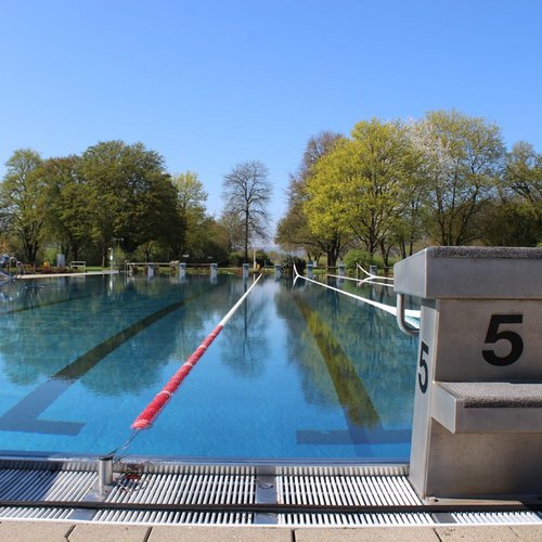 Ein Schwimmbecken mit klaren Wasser und einem Startblock mit der Nummer 5. Umgeben von grünen Bäumen und blauer Himmel