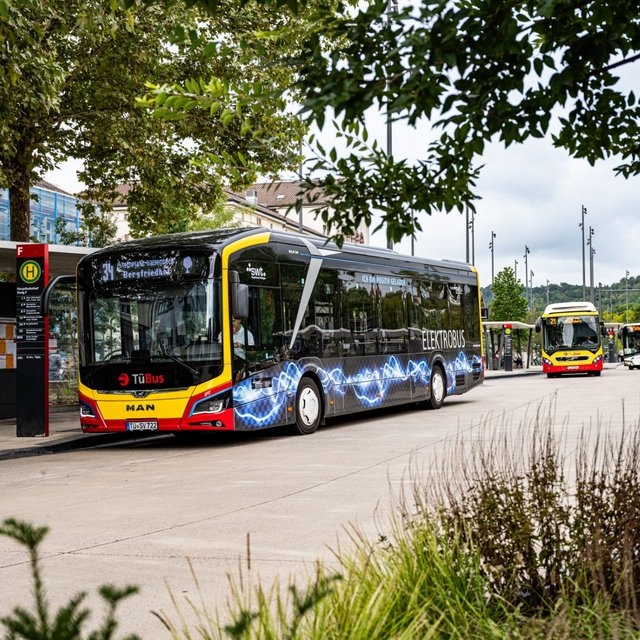 Ein Elektrobus mit einem modernen Design steht an einer Haltestelle, beschildert mit "Bergfried" und "TüBus". Im Hintergrund sind mehrere andere Busse und eine moderne Architektur zu sehen, umgeben von Bäumen. Der Platz wirkt urban und gut organisiert, mit Beleuchtungspfosten und einer ruhigen Himmelsszene.