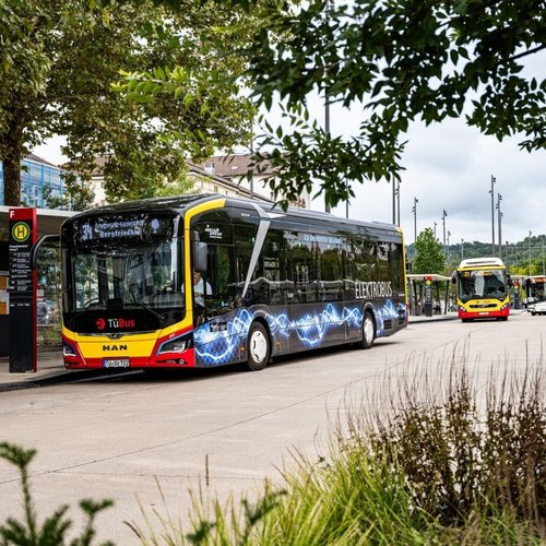 Ein elektrisch betriebener Bus mit der Aufschrift "ELEKTROBUS" steht an einer Haltestelle. Im Hintergrund sind weitere Busse zu sehen, darunter ein gelber und ein roter Bus. Die Umgebung ist von Bäumen und einer modernen Haltestelle mit Informationsschildern geprägt. Der Himmel ist bewölkt, und es sind mehrere Lichtmasten aufgestellt.