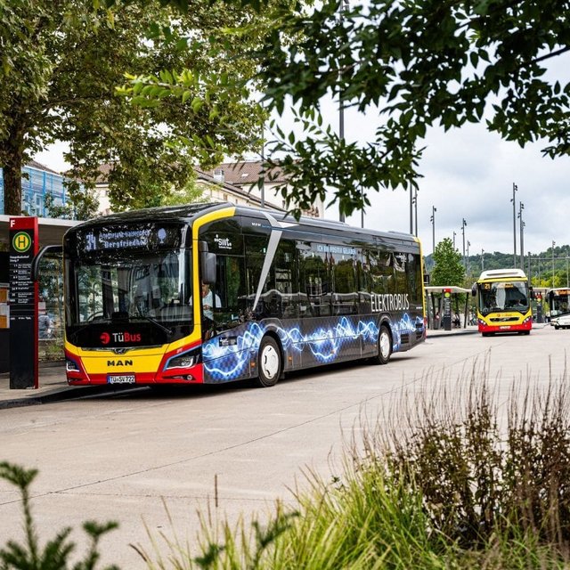 Ein elektrisch betriebener Bus mit der Aufschrift "ELEKTROBUS" steht an einer Haltestelle. Im Hintergrund sind weitere Busse zu sehen, darunter ein gelber und ein roter Bus. Die Umgebung ist von Bäumen und einer modernen Haltestelle mit Informationsschildern geprägt. Der Himmel ist bewölkt, und es sind mehrere Lichtmasten aufgestellt.